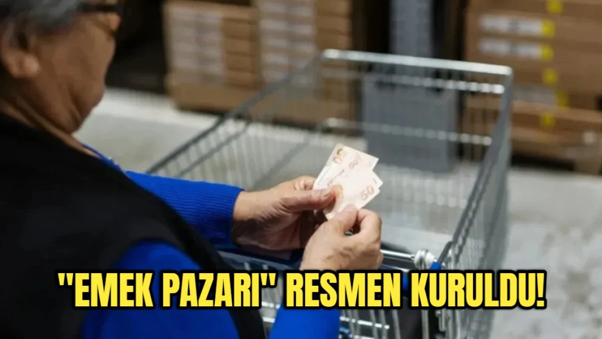 Emekli Vatandaşlar İçin Yeni Dijital Pazaryeri: Emek Pazarı