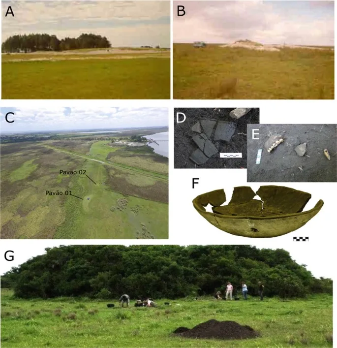 Karnavalın Kökenlerini Ortaya Çıkarmak: Sömürge Öncesi Brezilya’da Eski Yaz Festivallerinin Kanıtı