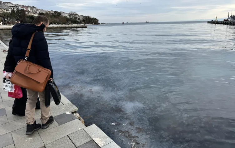 Sinop kıyılarında denizanası istilası