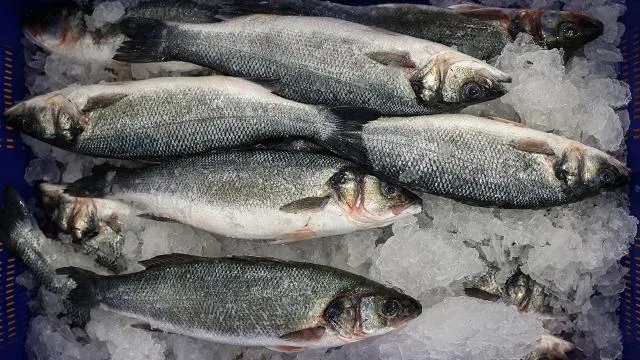 Karadeniz’in su ürünleri ihracatı ocakta 19 milyon doları aştı