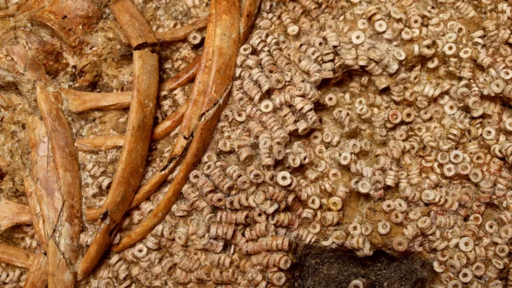 5.000 Yıllık Boncuklu Mezarlar