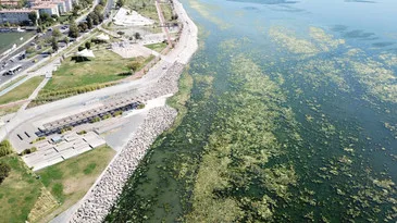5 yıl sonra geri dönen müsilaj Çanakkale Boğazı’na ulaştı