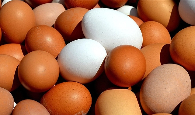 ABD’de Yumurta Krizi! Türkiye’den 22 Bin Tonluk İthalat Başladı