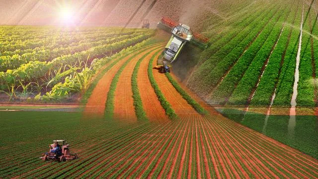 Organize Tarım Bölgesi 43’e ulaştı