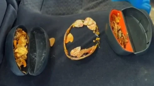 Paha biçilemeyen kral tacı