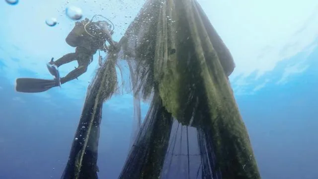 Denizlerden 224 futbol sahası büyüklüğünde hayalet ağ çıkarıldı