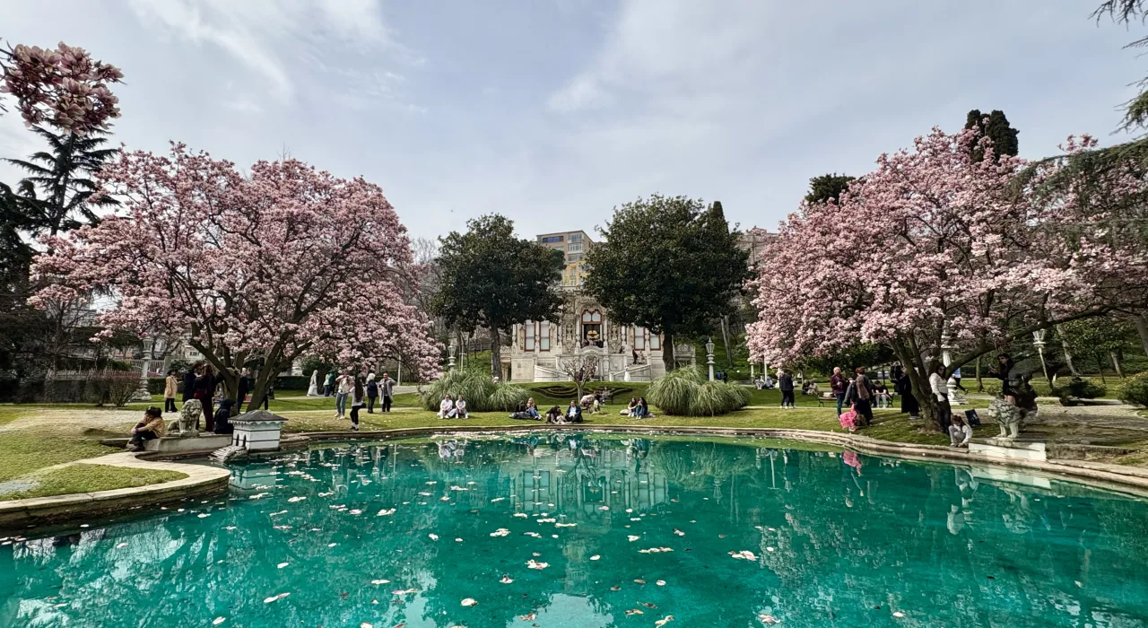 Manolya Çiçekleriyle Ihlamur Kasrı