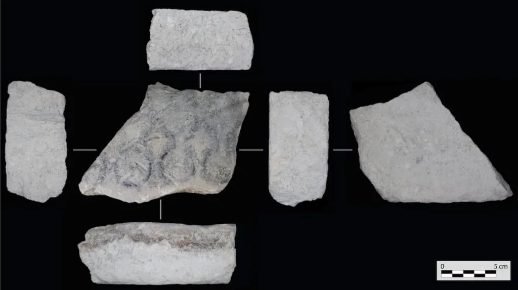 Roma Hispania’sında Madeni Para Üretimi için Bilinen En Eski Taş Kalıp Ortaya Çıkarıldı