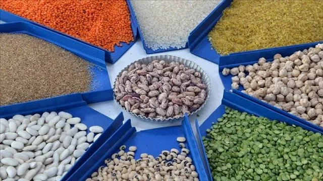 Hububat ihracatında Afrika’nın payı artıyor