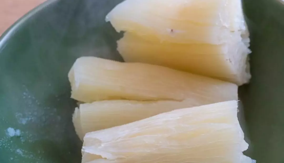 İşte ‘Dünyanın en ölümcül yiyeceği’ her yıl 200’den fazla kişiyi öldürüyor ama milyonlarca insan hâlâ onu yiyor!