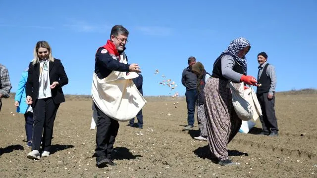 Bakan Yumaklı, Kastamonu’da sarımsak ekimine katıldı