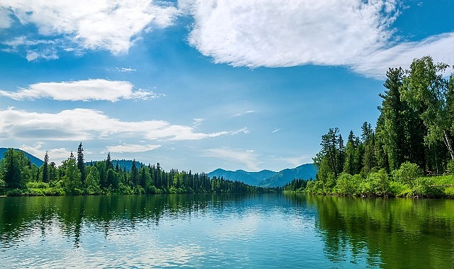 TEMA Vakfı: Ormanları ve su varlıklarını korumak artık bir tercih değil, zorunluluk