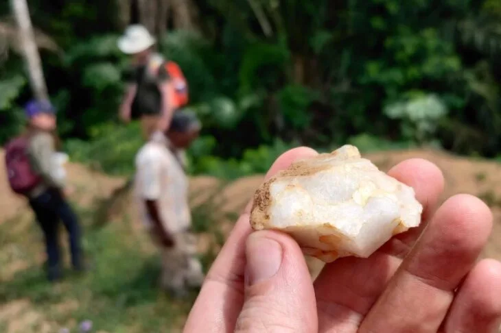 Yeni Araştırmalar, Yağmur Ormanlarındaki insanların En Eski Kanıtlarını Ortaya Çıkararak Zaman Çizelgesini 150.000 Yıl Geriye İtiyor