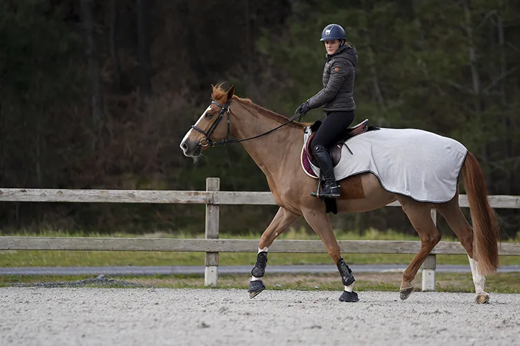 Kurumsal hayatı bırakıp Ustalar Milli Takımı’nın tek kadın at binicisi oldu
