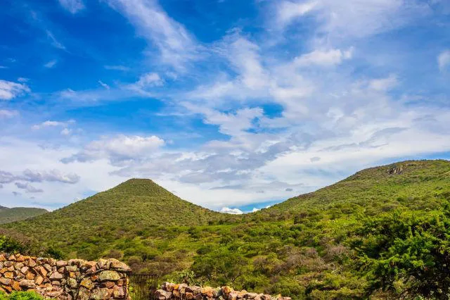 Bilim insanları, nesli tükenmekte olan hayvanlara sırt çantası bağlama deneyinin sonuçlarıyla şaşkına döndü