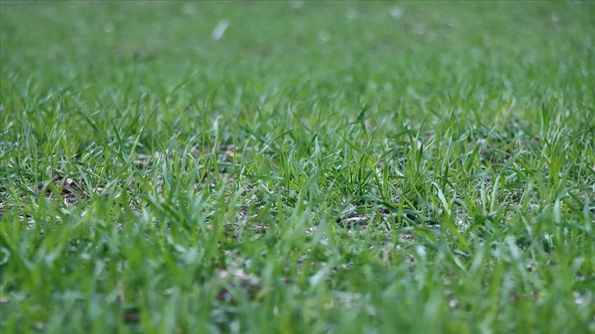 Tarımsal kuraklık Trakya’da hububat ekili alanları olumsuz etkiledi