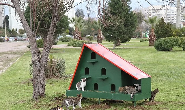 Karşıyaka Belediyesi’nden sahipsiz hayvanlar için örnek uygulama