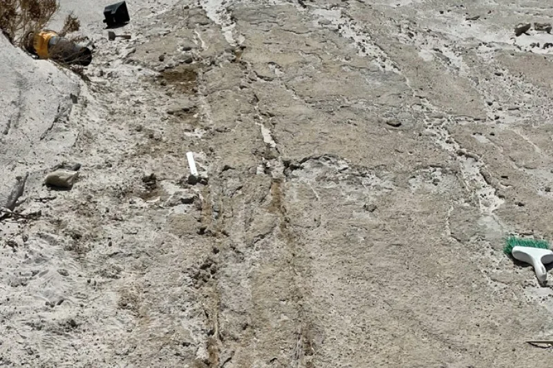 Bilim Adamları Tarih Öncesi Ulaşımın 22.000 Yıllık Kanıtını Ortaya Çıkardı