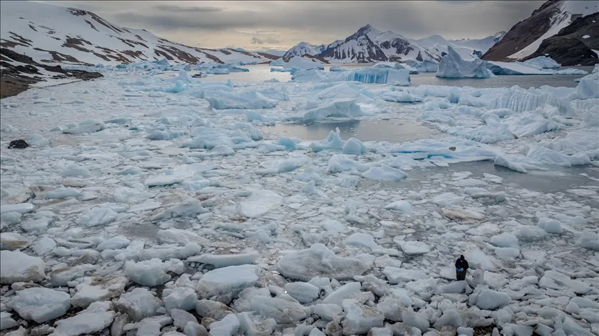 Çinli araştırmacılar, Antarktika’da 6 yeni bakteri cinsi keşfetti