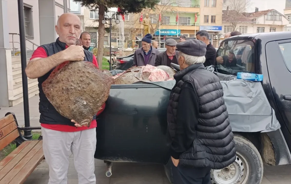 Sinop’ta kaçak avlanan 200 kalkan balığı halka dağıtıldı