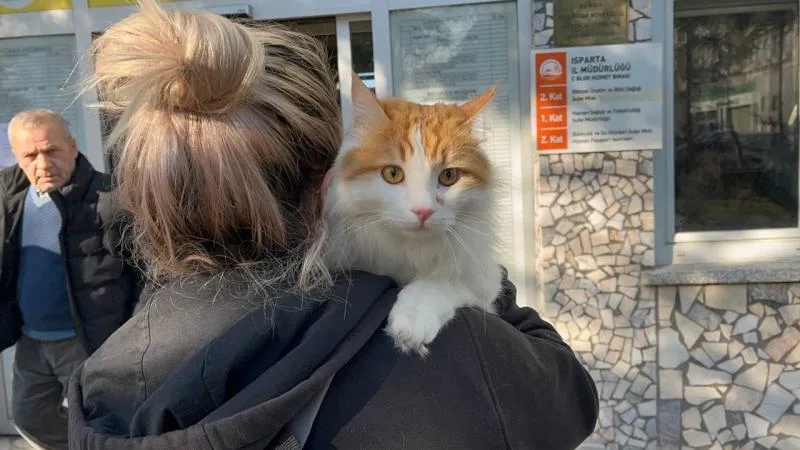 Evcil hayvanlar için mikroçip zorunluluğu yıl sonuna kadar uzatıldı