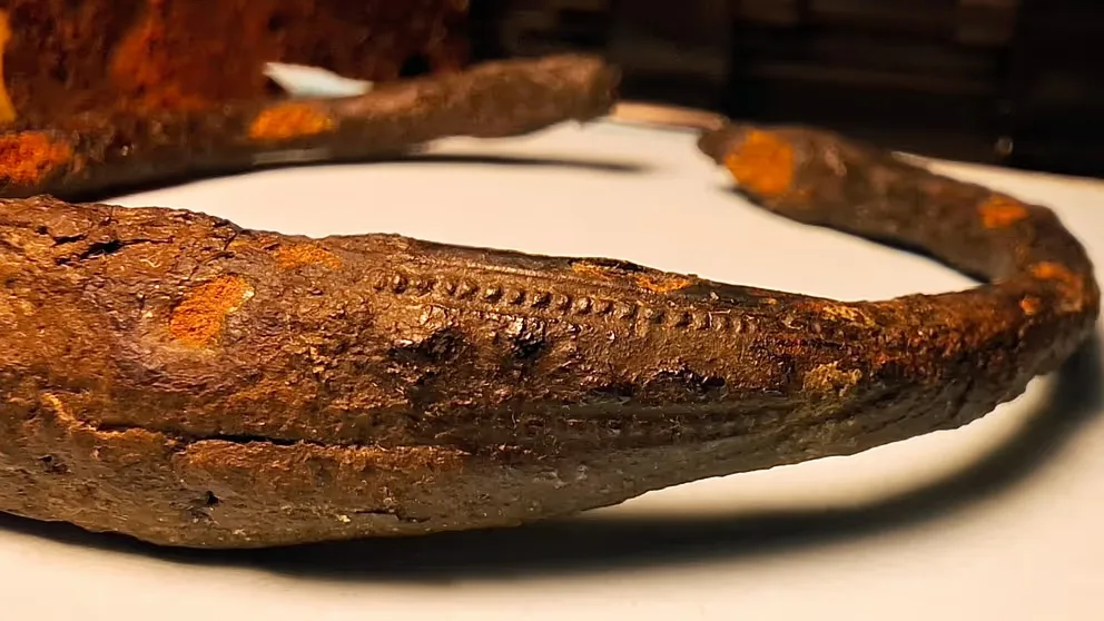 İsveç’te Keşfedilen Nadir Viking Kolçağı ve 2.000 Yıllık Altın Boyun Halkası