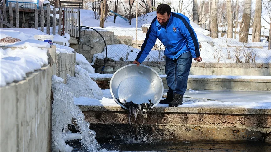 En lezzetli alabalık için dondurucu soğukta mesai