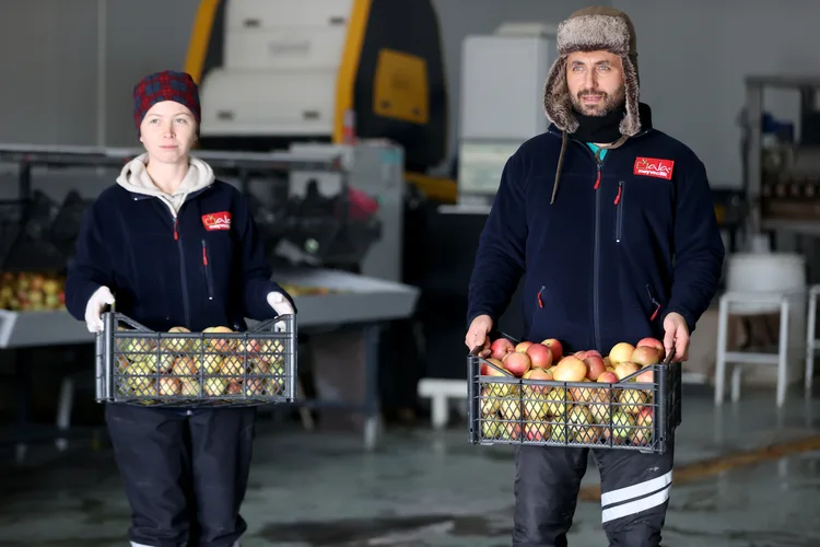 Devlet desteğiyle kurduğu tesisle 4 ülkeye elma ihraç ediyor