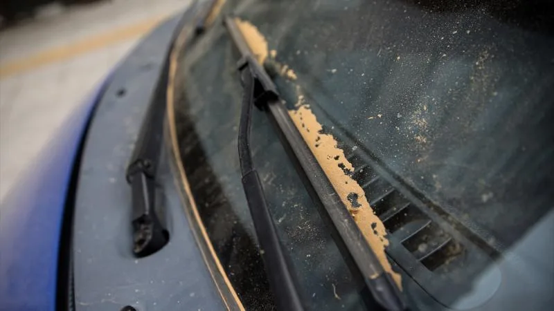 Doğu Akdeniz ve Güneydoğu’da toz taşınımı etkili olacak