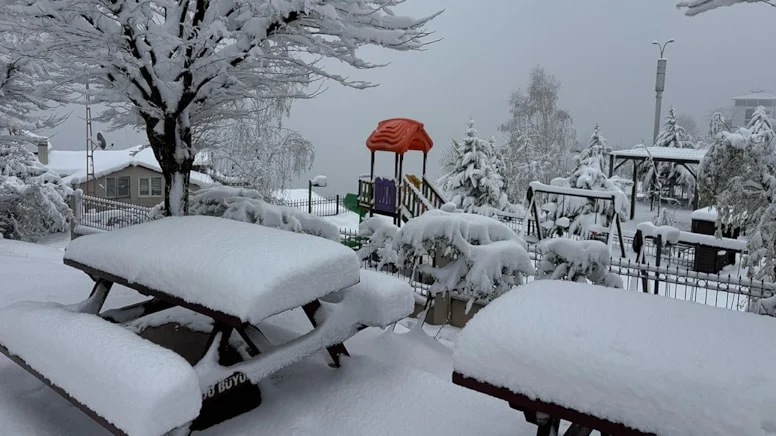 Soğuk hava ve kar yağışı bazı illerde okulları tatil ettirdi