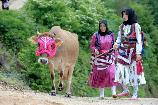 Karadeniz’in Türkleşmesinde önemli rol oynayan Çepniler binlerce yıllık geleneği sürdürüyorlar
