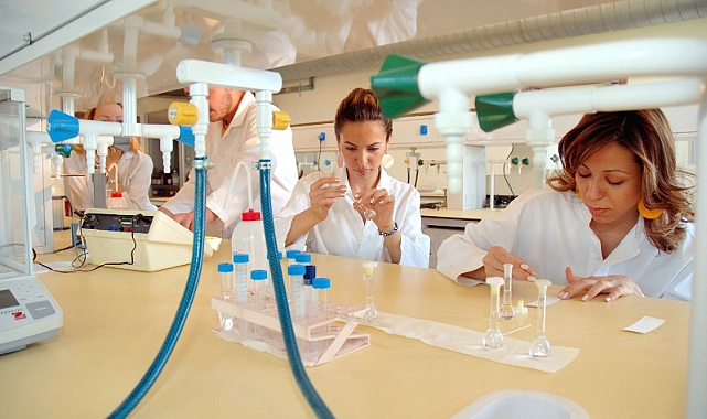 Kadın Akademisyenler 2023’te 24 Bin 186 Bilimsel Yayına İmza Attı!