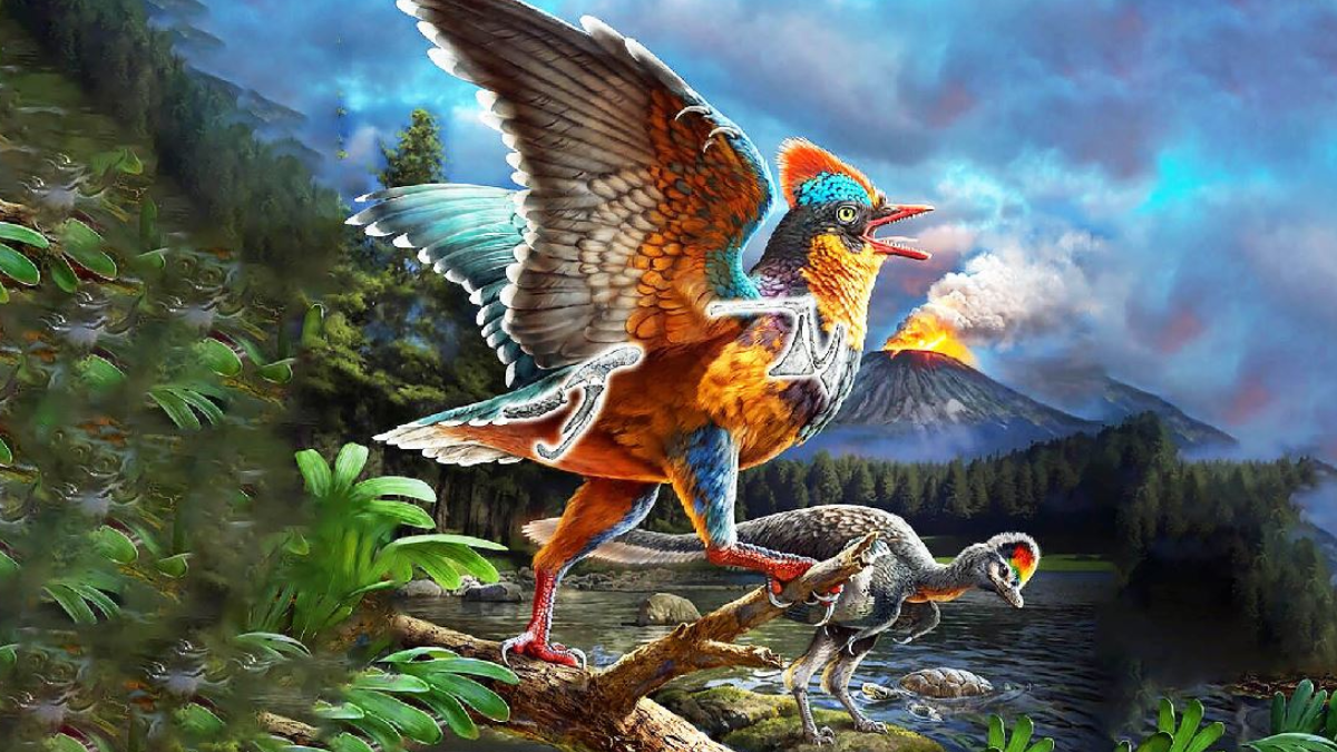 Tarihi değiştirecek kuş türü keşfedildi: Ayakları dinozorlarla aynı