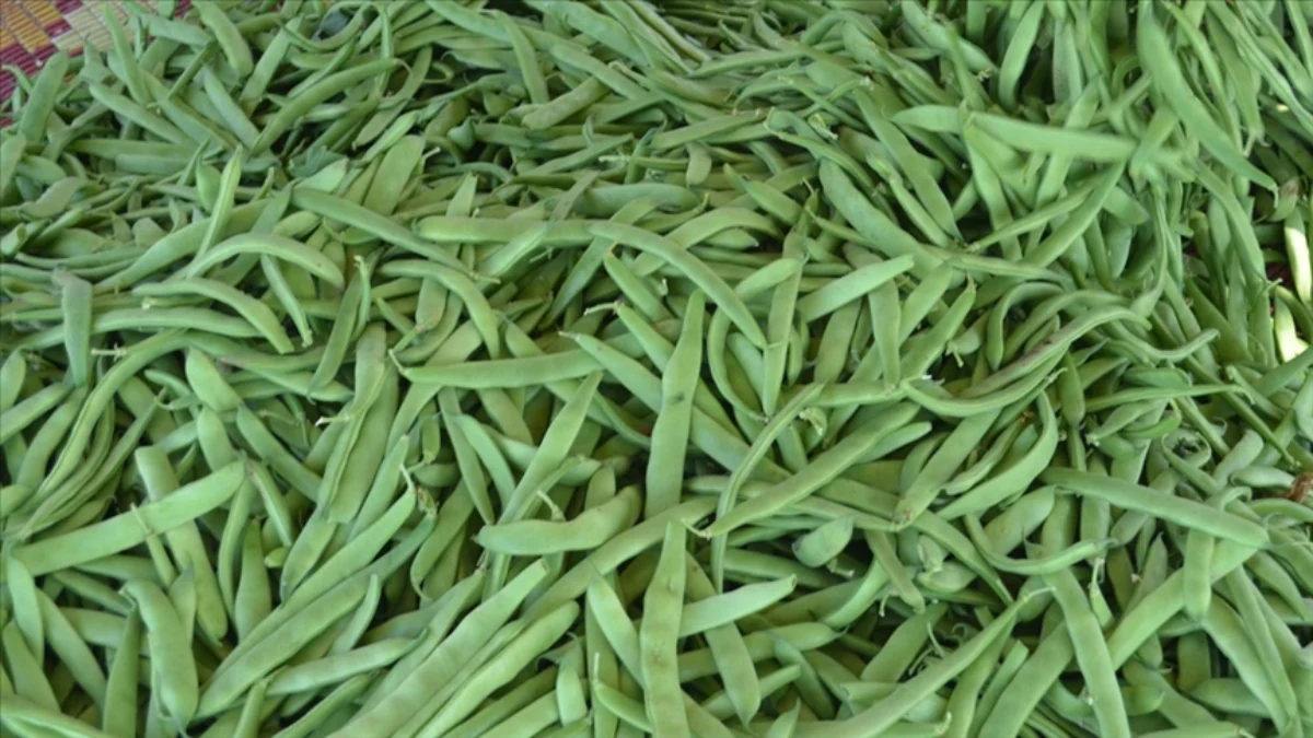 İstanbul’da şubatta fiyatı en çok artan ürün belli oldu