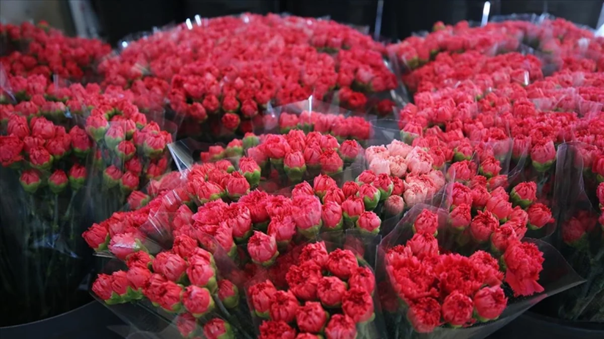 Dünya, Kadınlar Günü’nü Türkiye’den giden 75 milyon dal çiçekle kutlayacak