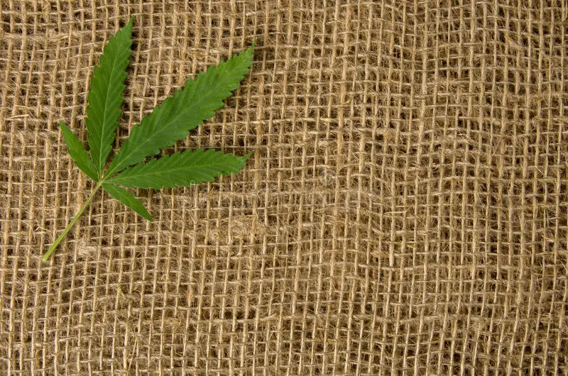 Kenevir Tekstili modern üretimle buluşuyor