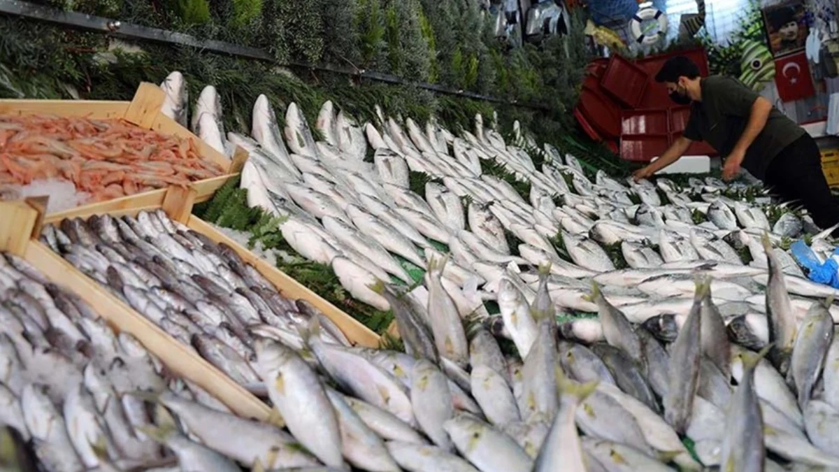 Türkiye’nin önde gelen balıkçılık merkezlerinden Sinop’ta tezgâhlar taze balıklarla dolup taşıyor… mezgit, istavrit, somon, hamsi …