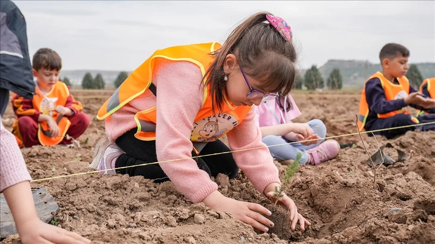 “Türkiye Yüzyılı Maarif Modeli” ile anaokulu öğrencilerine ağaç sevgisi aşılanıyor