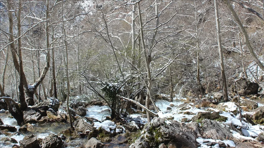 Adana’da Obruk Şelalesi Tabiat Parkı kar yağışıyla beyaza büründü
