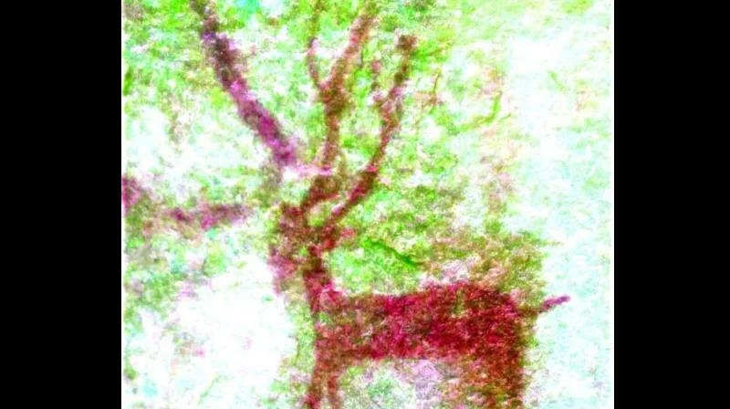 Hindistan’ın Medikonda köyünde 10.000 yıllık kaya sanatı keşfedildi