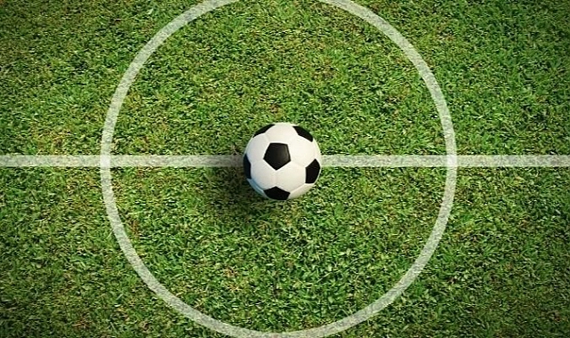 Profesyonel Liglerdeki Takım Sayısı Düşüyor