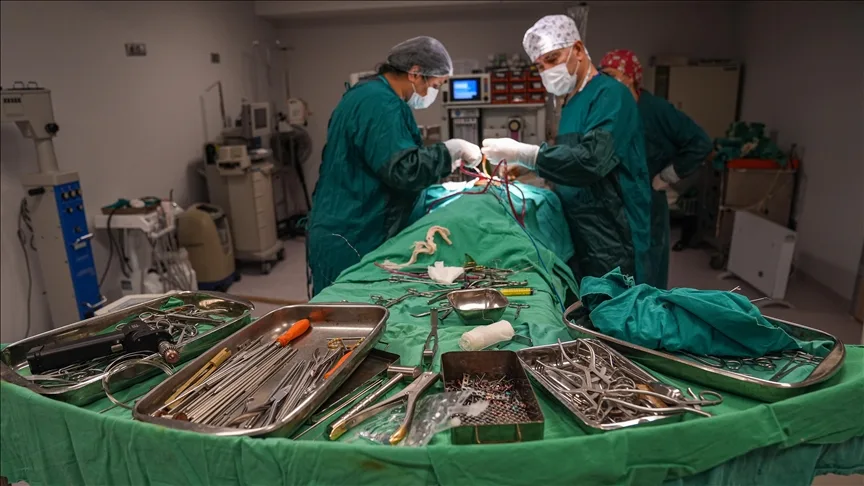 Türkiye evcil hayvan ameliyatlarında 20 yılda önemli mesafe aldı