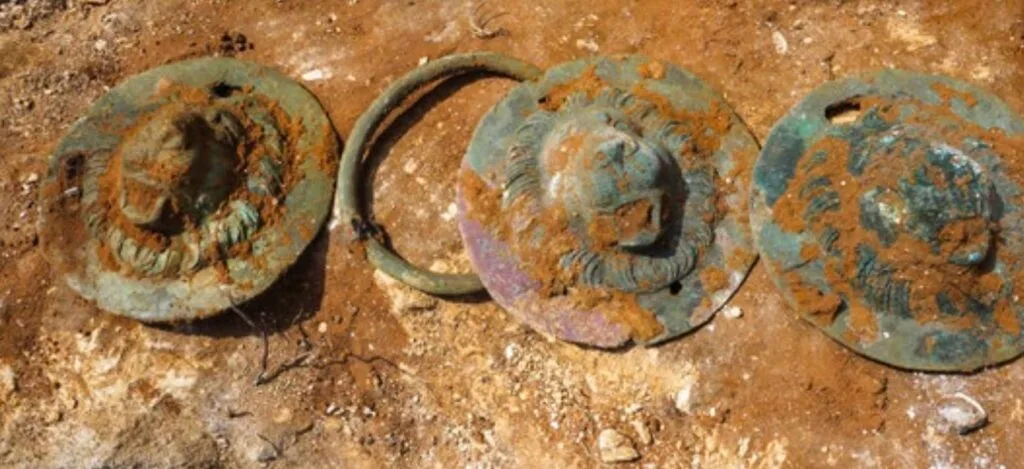 Eşsiz Aslan Başlı Kulplar