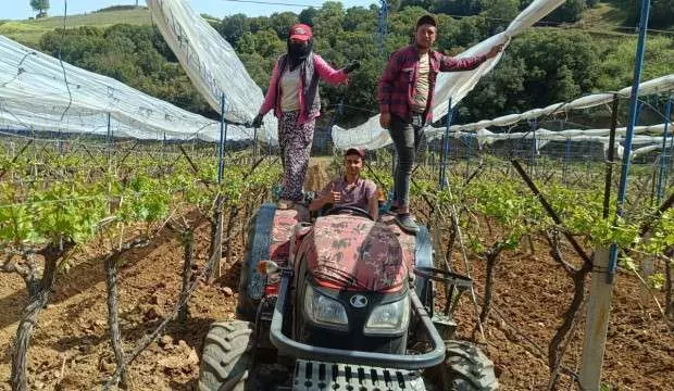 Don olaylarına karşı kurduğu sistem ile yüzü gülen çiftçi: ‘Bağımda zarar yok’