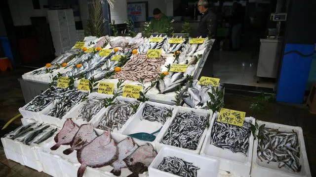 Karadenizli balıkçılar av sezonunu mutlu kapatıyor