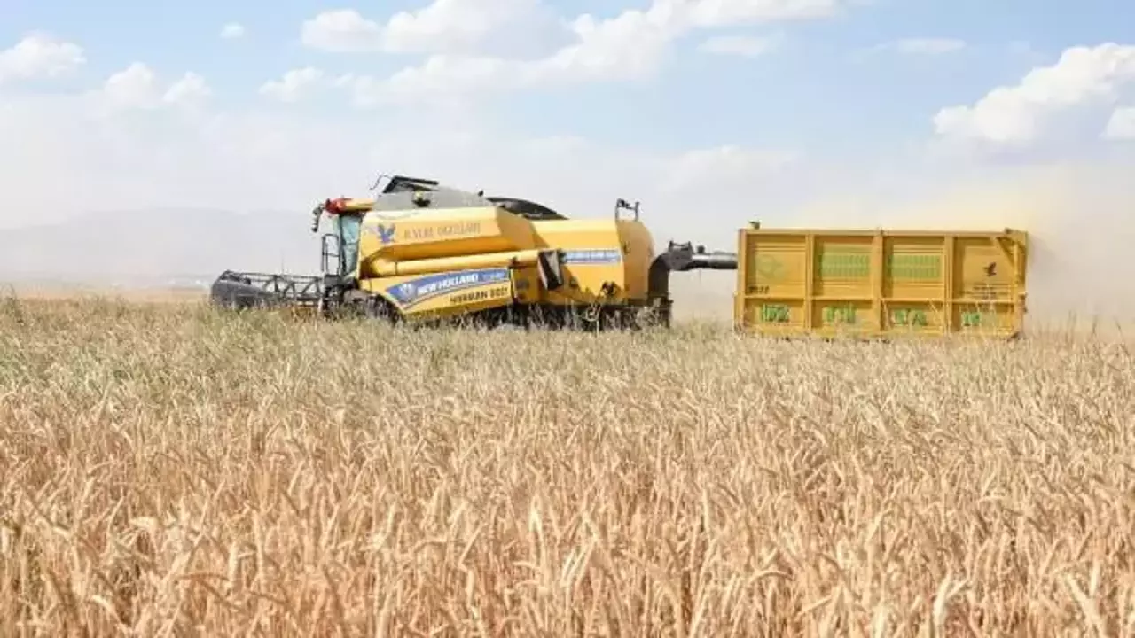 Tarım-GFE şubatta arttı