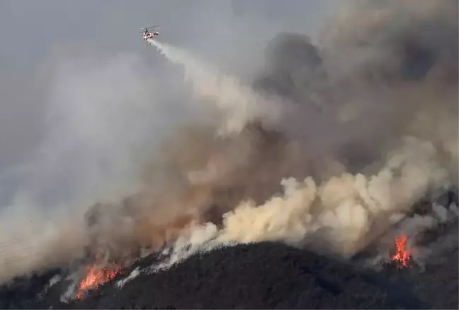 Güney Kore alev alev! 104 bin hektar alan yandı!