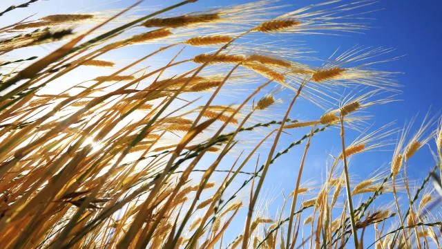 Türkiye’ye ‘stratejik stok merkezi’ olarak konumlandırma talebi