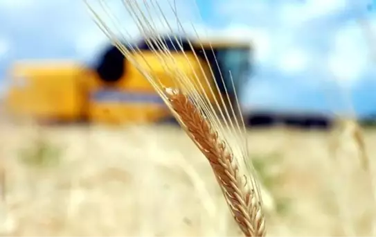 Tarımsal Girdi Fiyat Endeksi Yükseldi