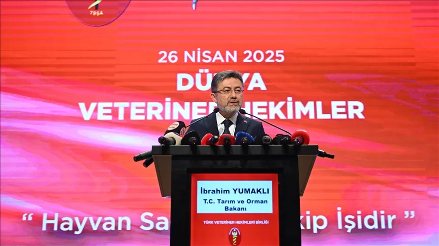 Veteriner hekimler, sahipsiz köpek sorununun çözümünde daha fazla görev üstlenecek